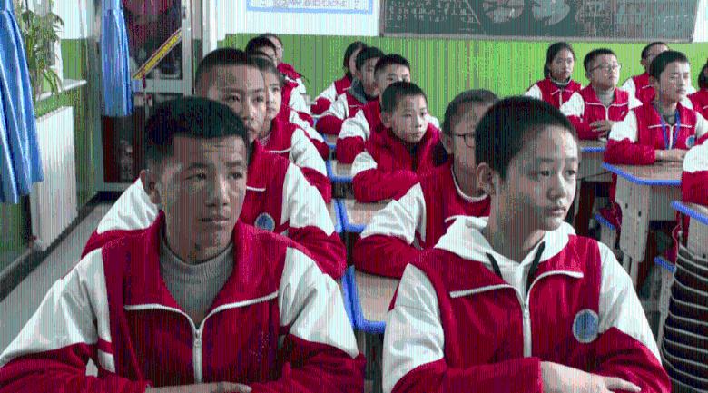 逃出猫头鹰岛